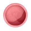 Stapelstein Original Light Red Stapelstein Original Light Red