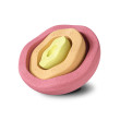 Stapelstein Inside Set Warm Pastel Stapelstein Inside Set Warm Pastel