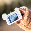 The Zoofamily Kinder-Digitalkamera Koala