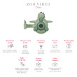 The Zoofamily Video Kinder-Digitalkamera Dino The Zoofamily Video Kinder-Digitalkamera Dino