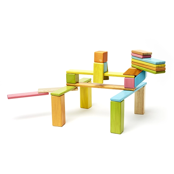 Magnetbausteine Tegu Tints 24 Stck. als Dinosaurier